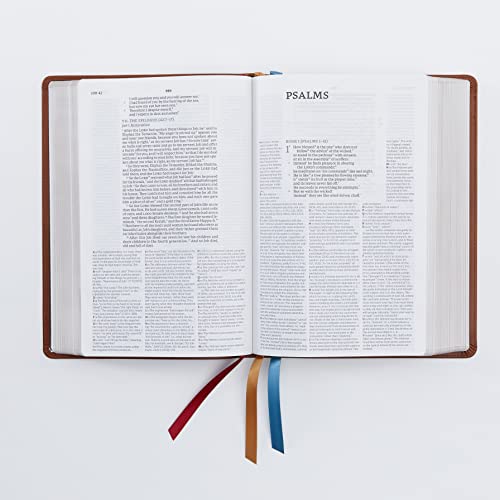 NET Bible, Full-notes Edition, Gray (Hard Cover)